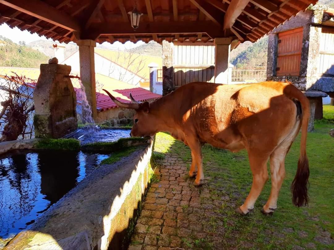 Casa da Fichua Villa Sistelo Bagian luar foto